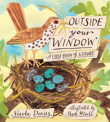 Outside Your Window: A First Book of Nature (Davies Nicola)