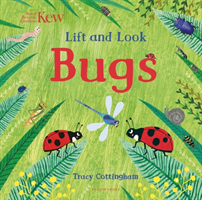 Kew: Lift and Look Bugs