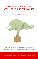 How to Train A Wild Elephant (Bays Jan Chozen)