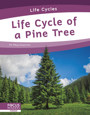 Levně Life Cycles: Life Cycle of a Pine Tree (Gaertner Meg)(Pevná vazba)