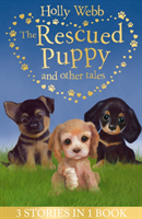 Levně Rescued Puppy and Other Tales - The Rescued Puppy, The Lost Puppy, The Secret Puppy (Webb Holly)(Paperback / softback)