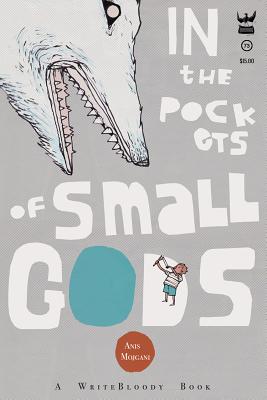 In the Pockets of Small Gods (Mojgani Anis)(Paperback)